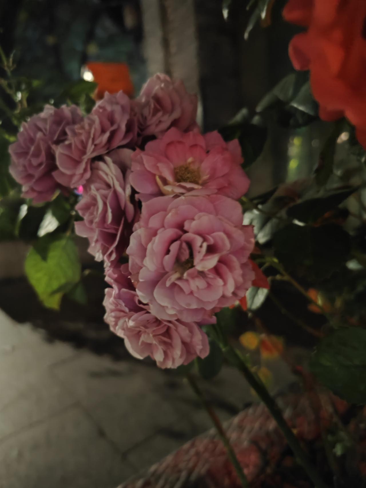 你以为吃饭是在填肚子？错了——那碗白米饭，可能正在掏空你。人跟人拉开差距的