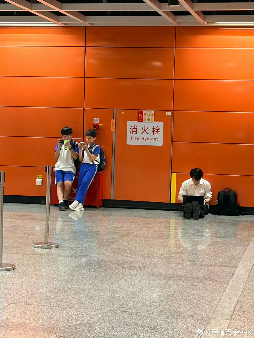 贵族味的紫微斗数，是一套关于先天禀赋与命运格局的形态哲学，源于它星曜系统的象征等