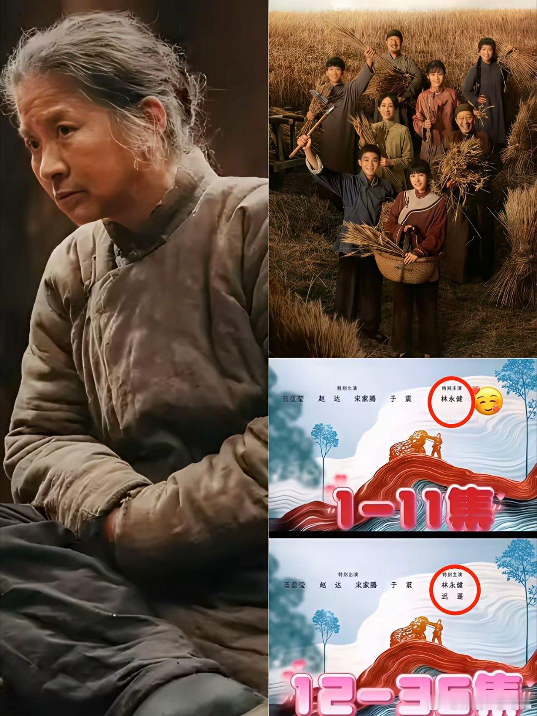 我有预感，​影视剧行业要变天了，​《生万物》里，从业40年的实力派演员迟蓬，竟一