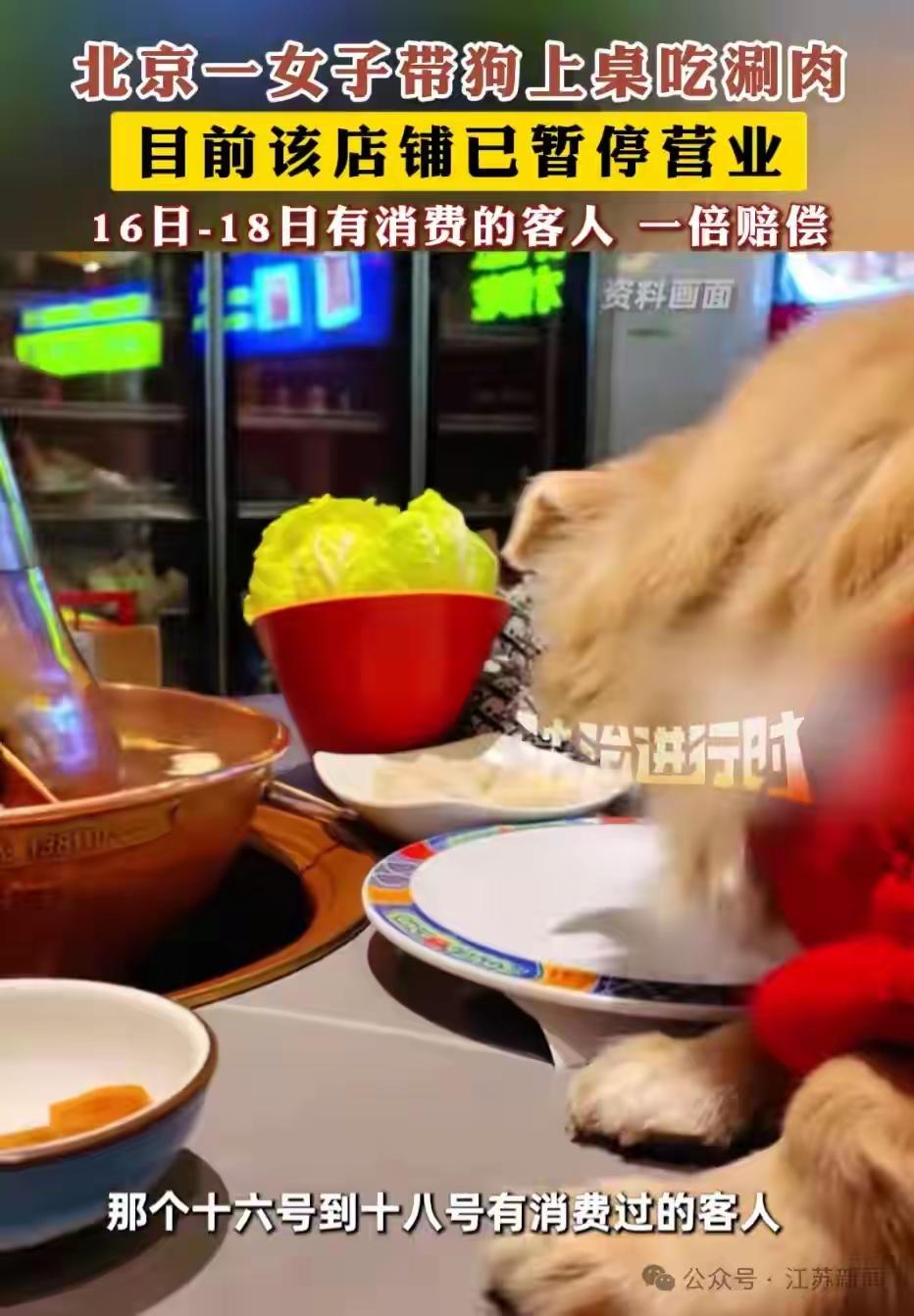 北京一女子12月16号带自己的宠物狗在一家涮羊肉火锅店用餐，她不但是自己吃涮羊肉