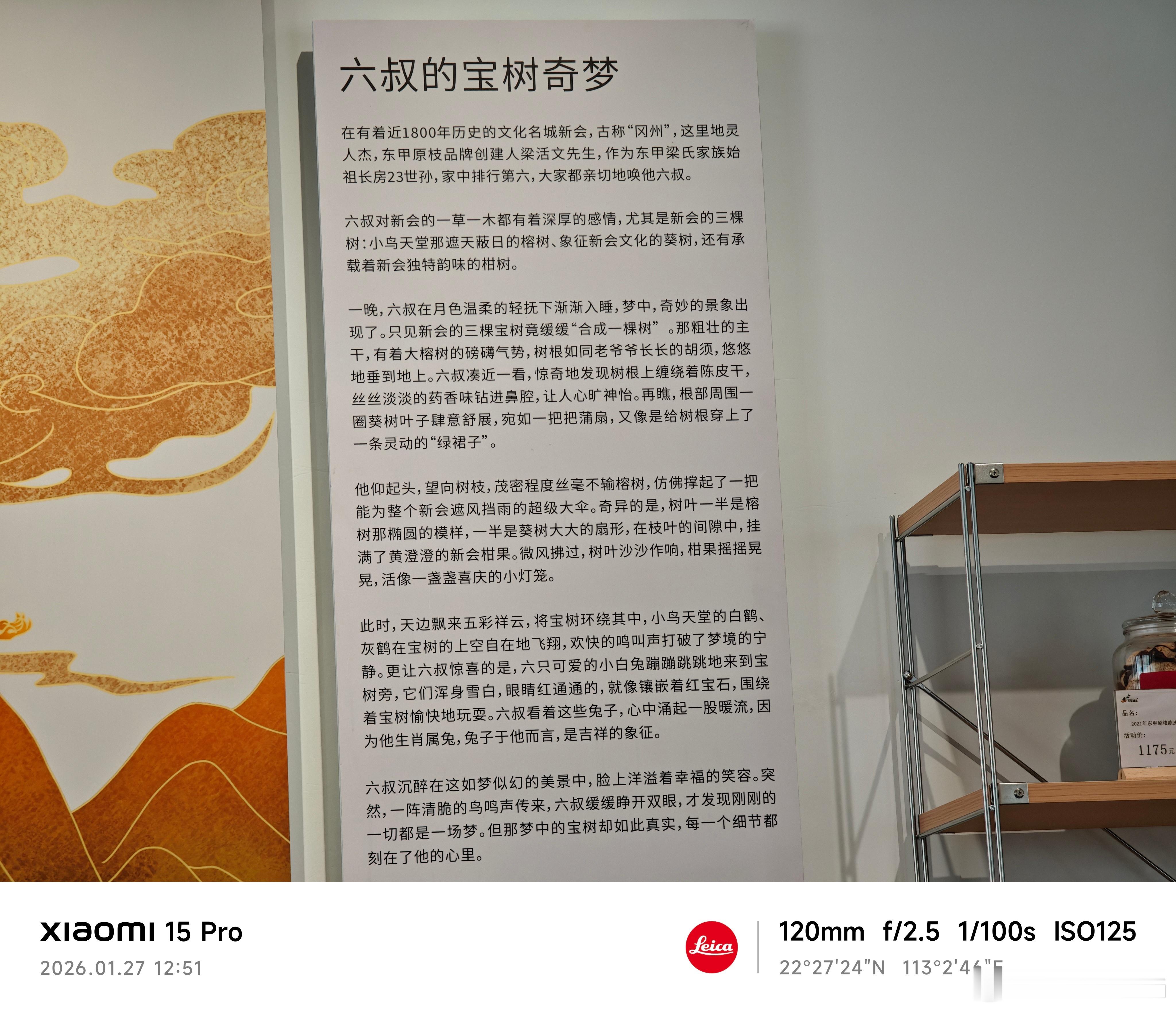 嚯～托梦，龙入腹中