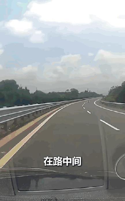 “上了人民日报！”江西一名男子正在高速公路上高速行驶，忽然看到一个小黑点出现在马