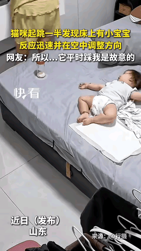 小宝宝刚洗完澡，正在床上躺着，猫咪腾空而起，想要上床。猛然看见软乎乎的小宝宝，怕