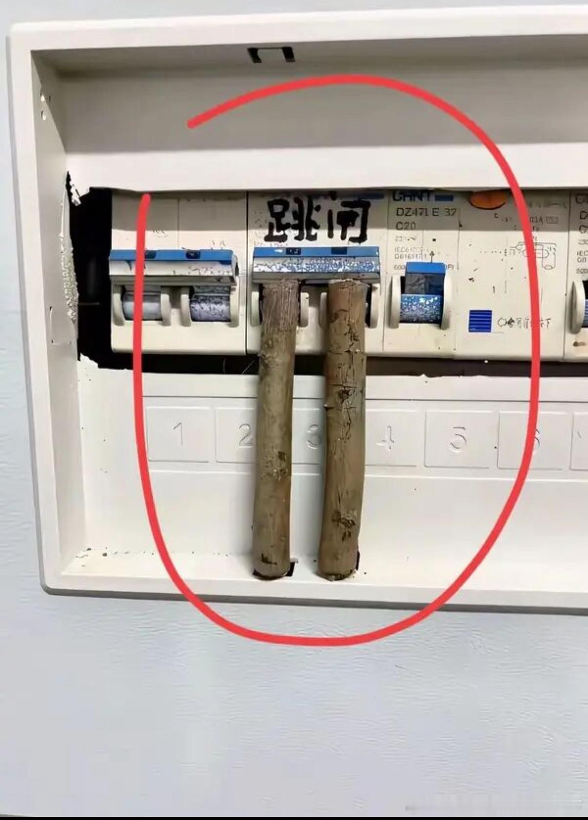 5599人类作死行为大赏