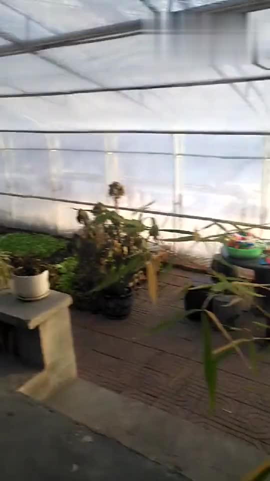 庆安一中高48班毕业25周年同学会(3)_土豆视频