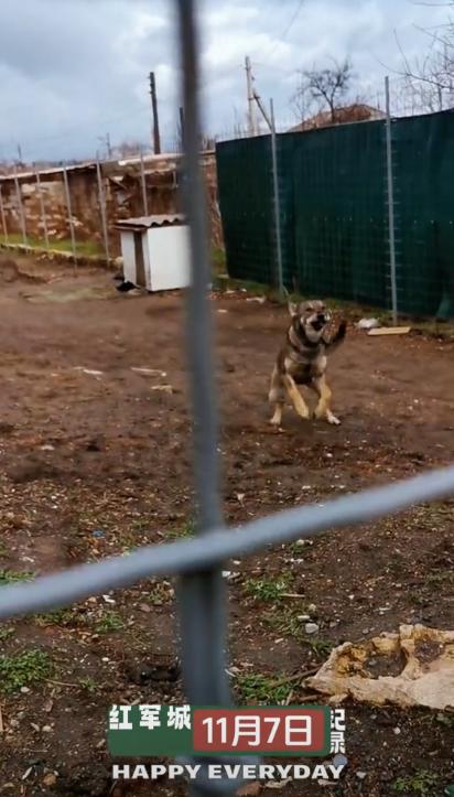 红军城战事如此激烈，城里居然还有老百姓，你信吗？在我的理解中，应该是没有了，