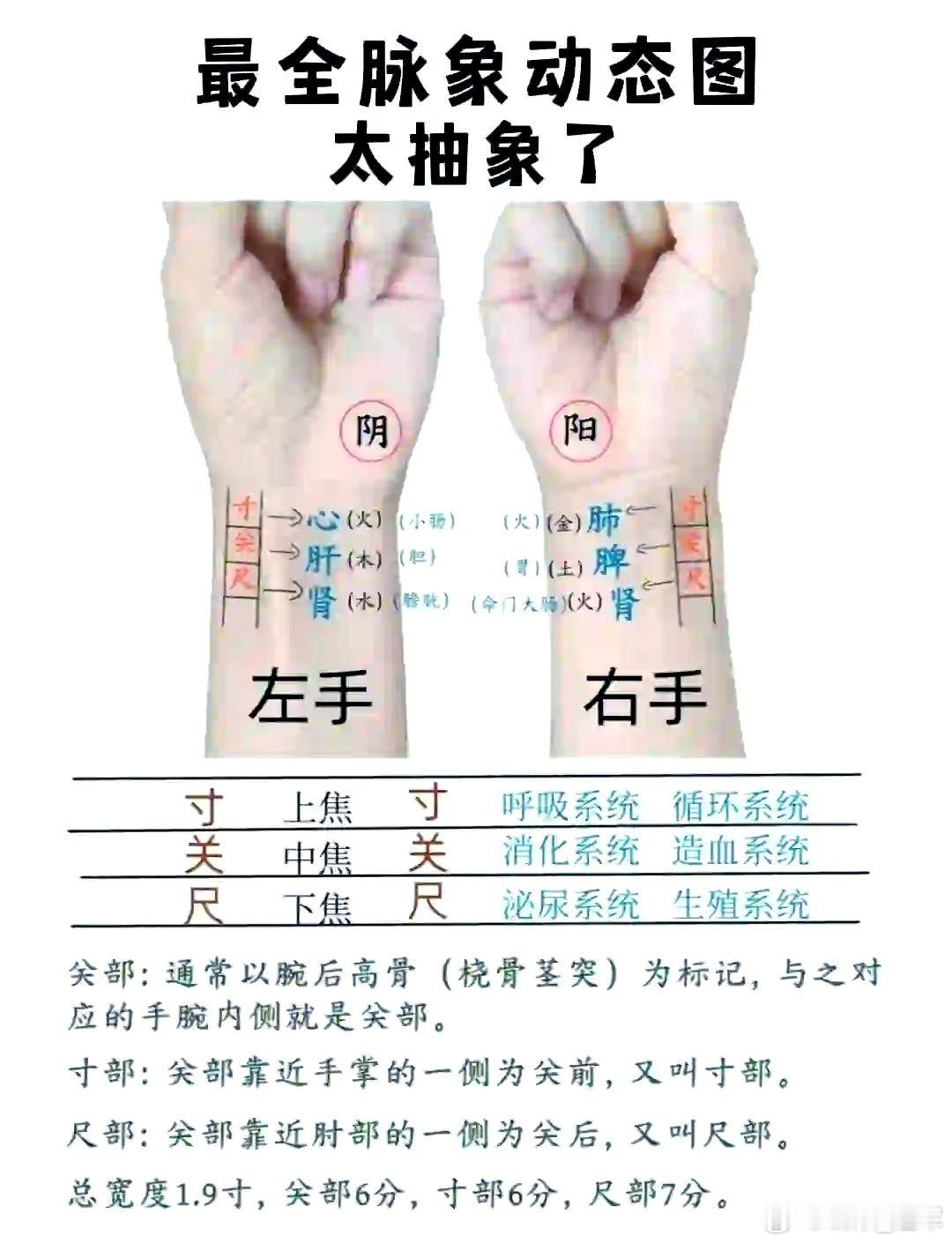 一、凡脉左手血中之气，右手气中之血。二、左手寸心脉旺，右手尺命门脉亦旺，是心君不