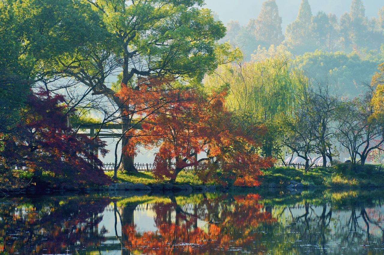 今天安排了雨花台中学一位高三学生的政治辅导。这孩子之前在我们这儿学地理有进步，所