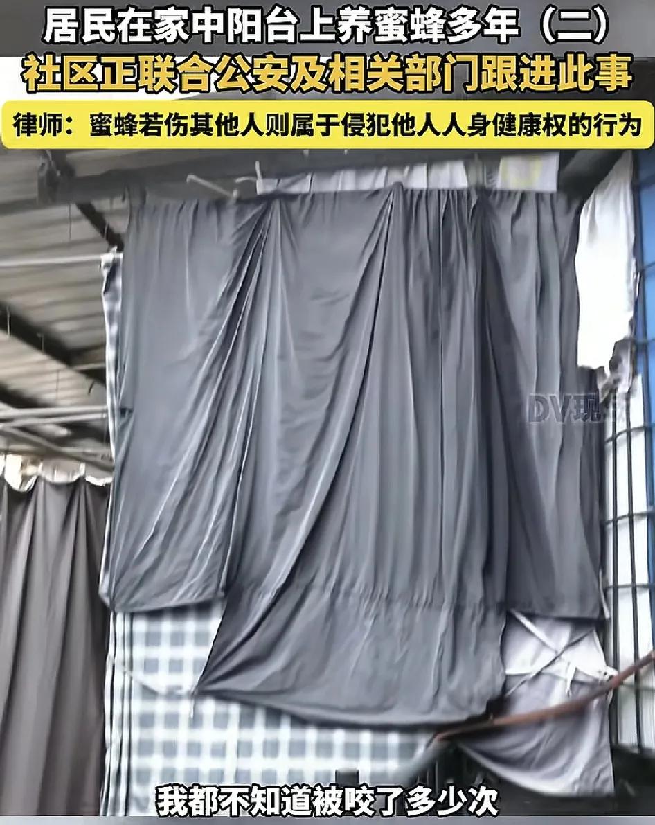 7月6日，广东江门，一居民家中被曝出养蜜蜂多年，有邻居称自己就住在隔壁被咬了很多
