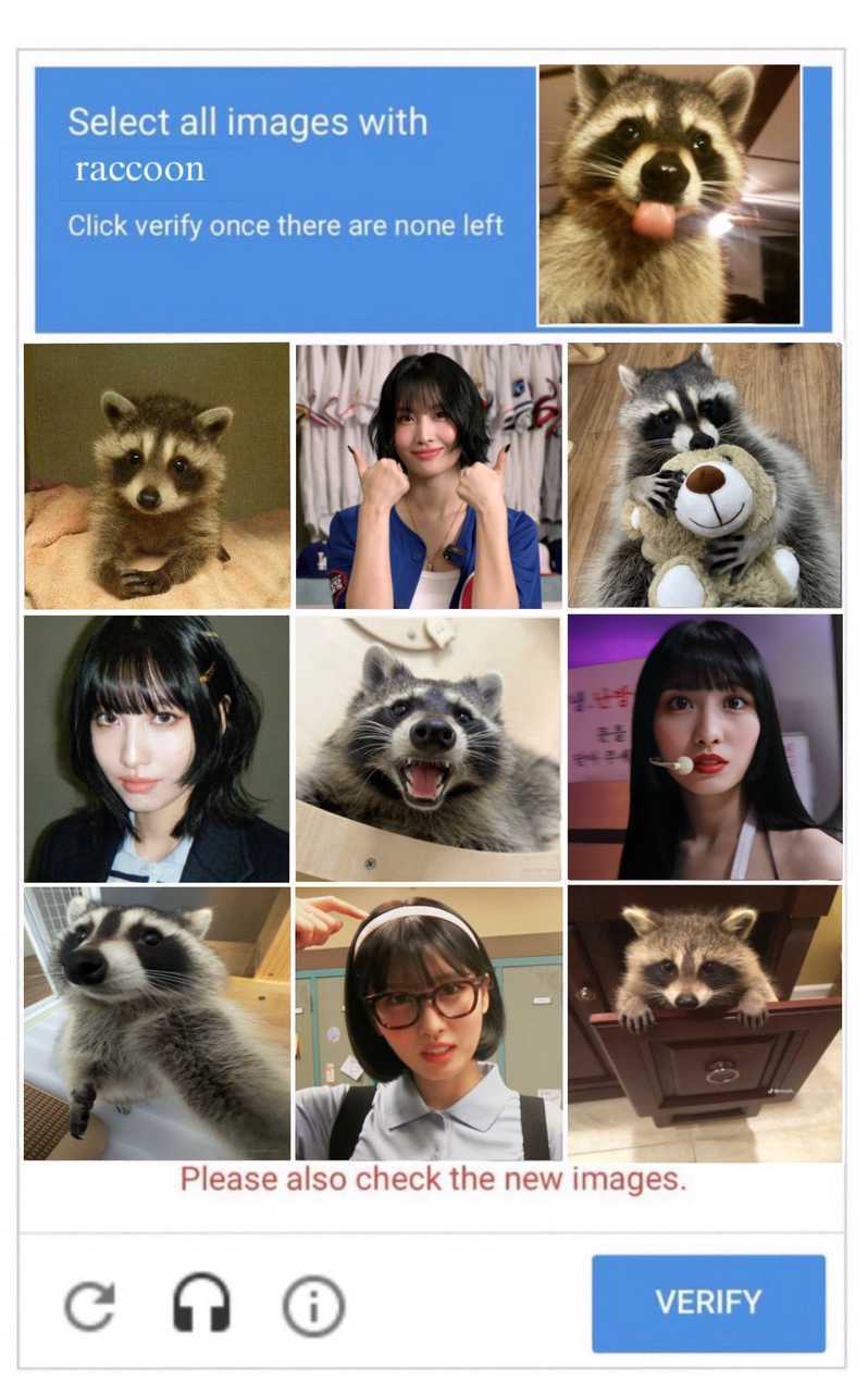 请选择浣熊出现的照片以证明您不是机器人​​​