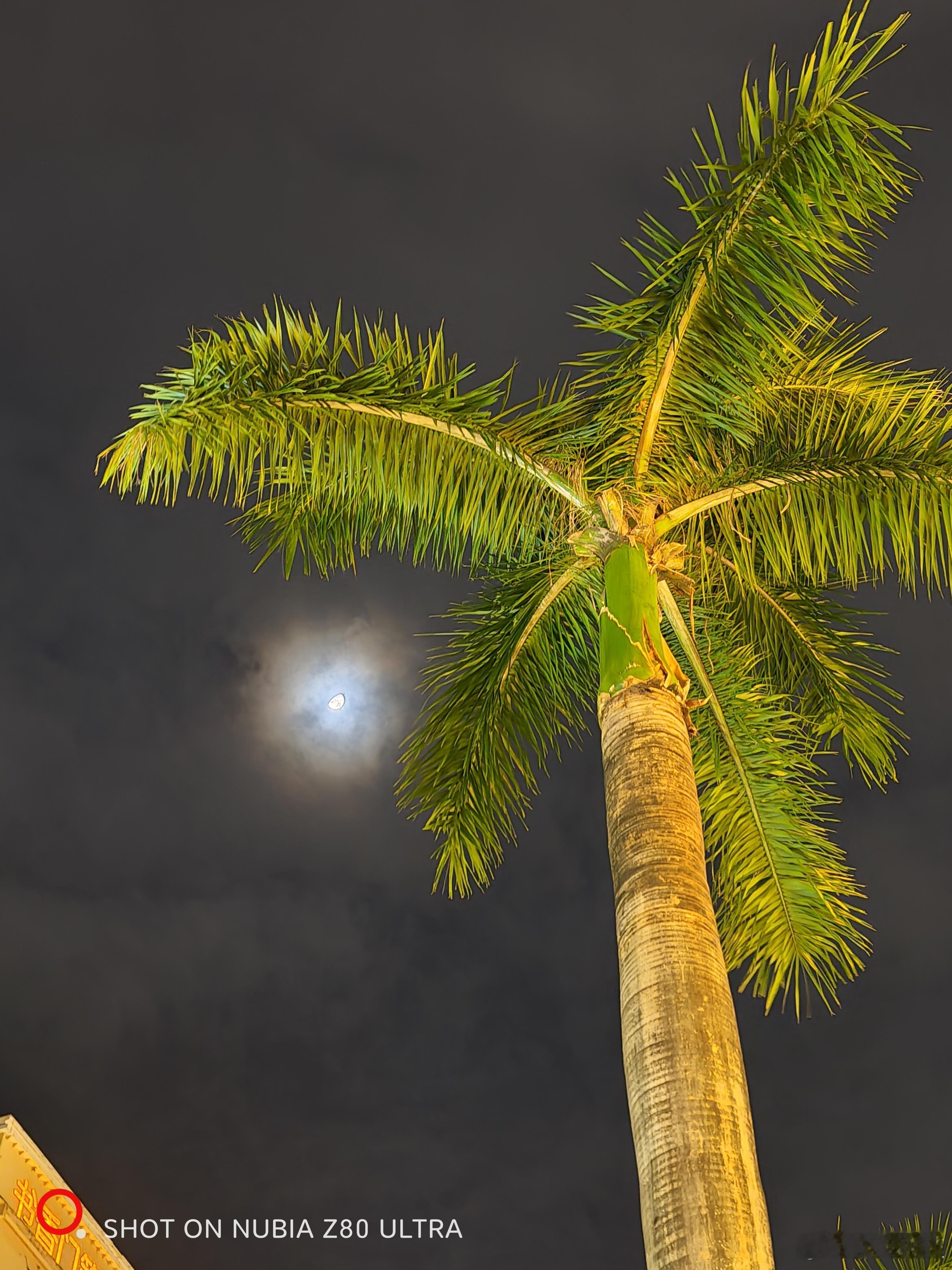 努比亚Z80Ultra又一组随手拍如何？​​​