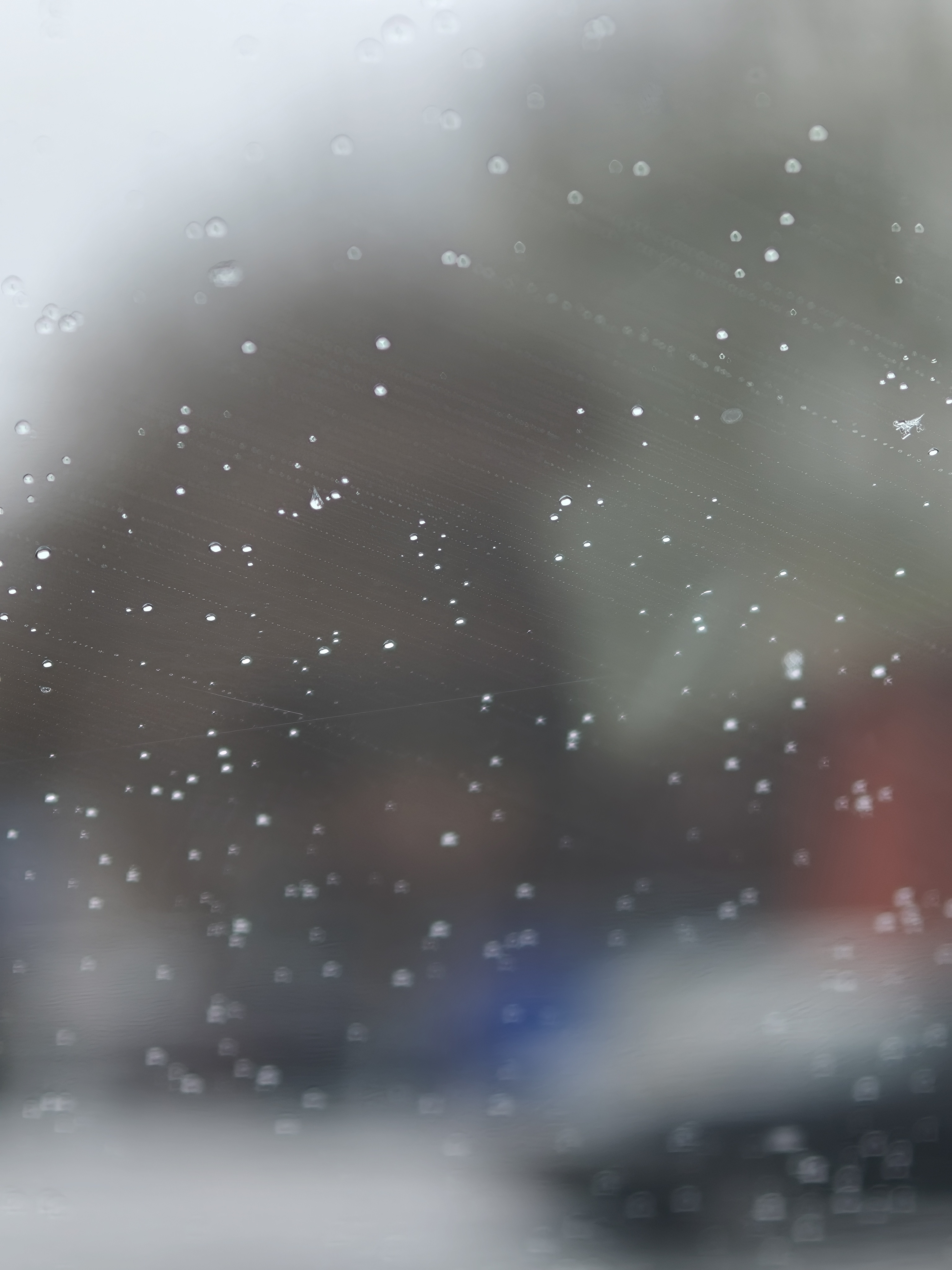 唉？这雪居然下起来了。。。