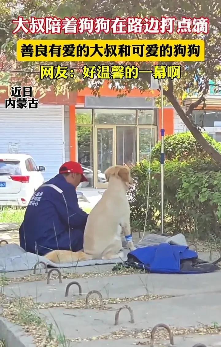 泪目！近日，内蒙古一只小狗生病了，主人带它去看病时，为了让小狗舒服一些，主人特意