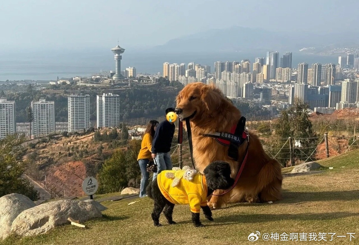 6047摄影界迎来巨变