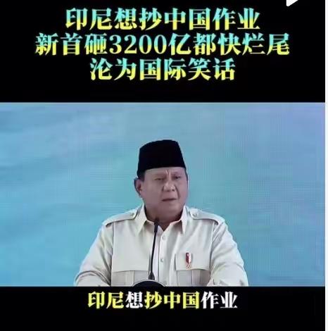 我们应该强力的介入东南亚国家内政，在马来西亚，印尼，菲律宾等国家建立华人政权，把