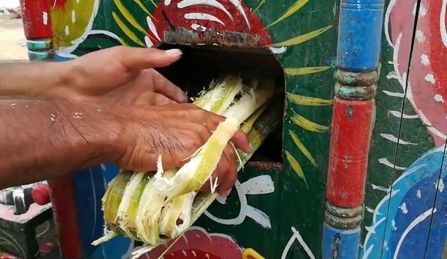 为什么说甘蔗渣在印度有大用途，是当地人的摇钱树？每天100辆车运进工厂，制成商品