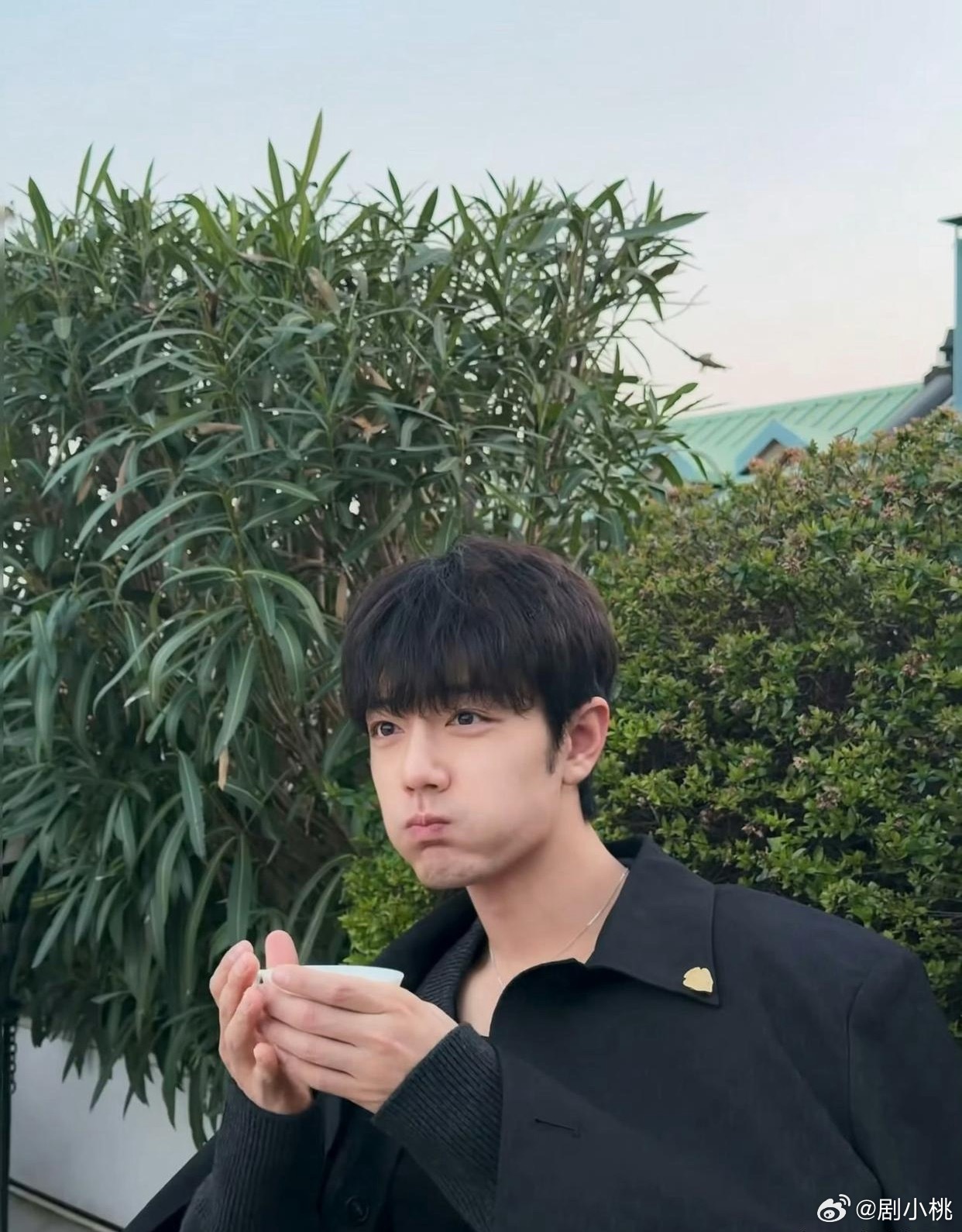 1.关晓彤现在更愿意出演正剧，主要还是因为正剧对其事业的发展有较强的加持作用，不