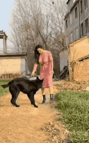 活的连狗都不如，在此刻具象化了！