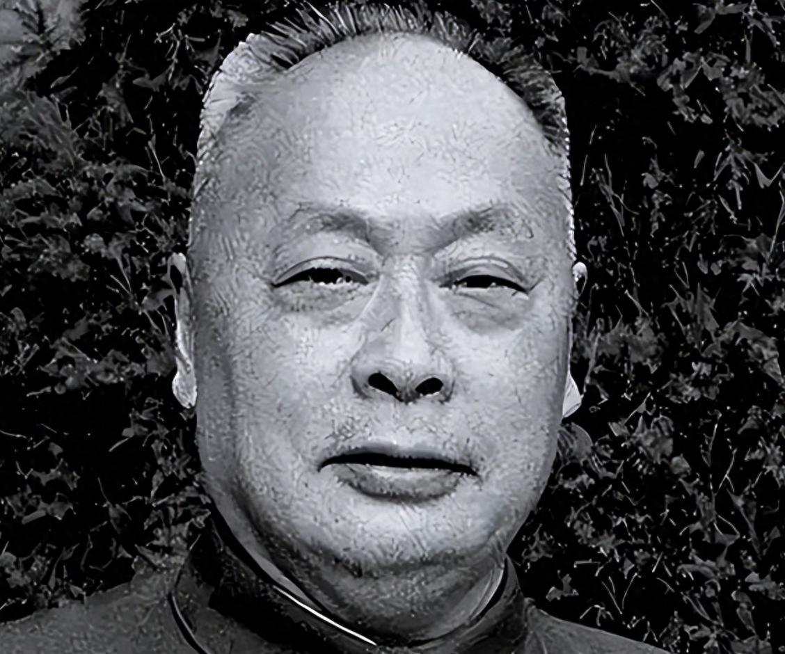 1950年，陈毅刚担任上海市长，此前一家人暂居南京，7岁的陈丹淮在汉口路小学就读