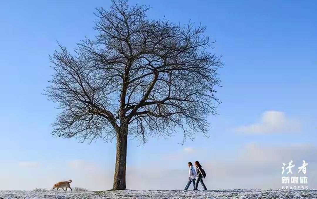 当前社会出现三大奇怪而且突岀婚恋现象：一是农村村村普遍存在数十名光棍群体，二是一