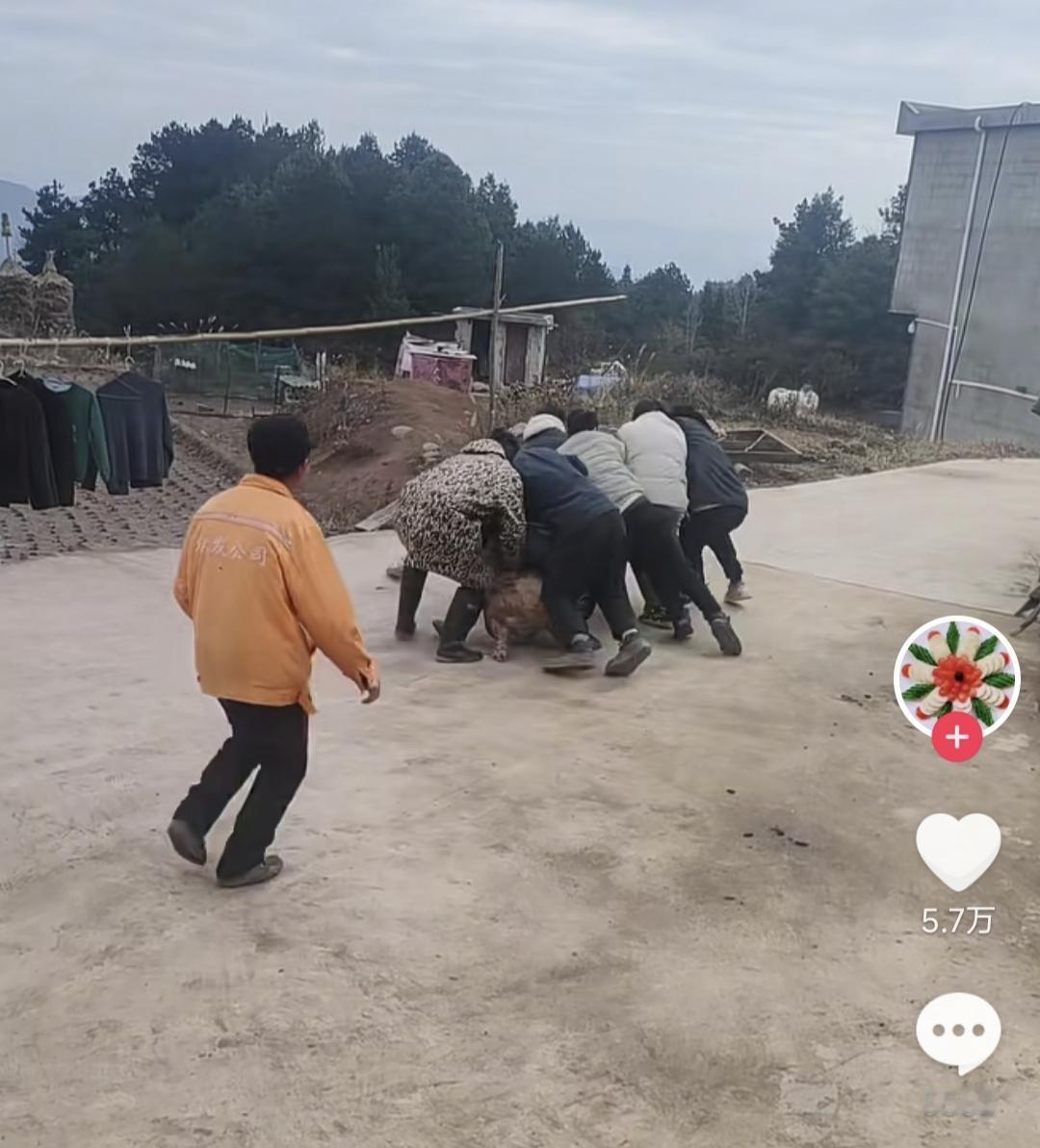 春节最热闹的场面是什么？是大年三十的春晚吗？是大年初一的放鞭炮吗？都不是，是春节