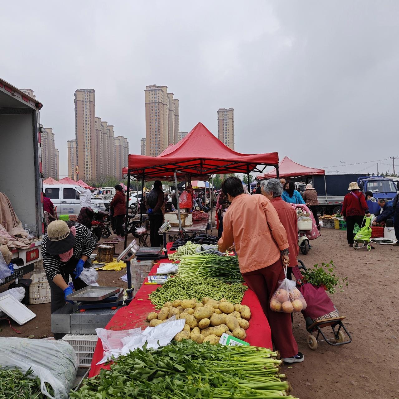 ‌蔬菜摊上的蔬菜看着都很新鲜，有些蔬菜一看就是刚从菜园子里边割下来的，鲜嫩无比