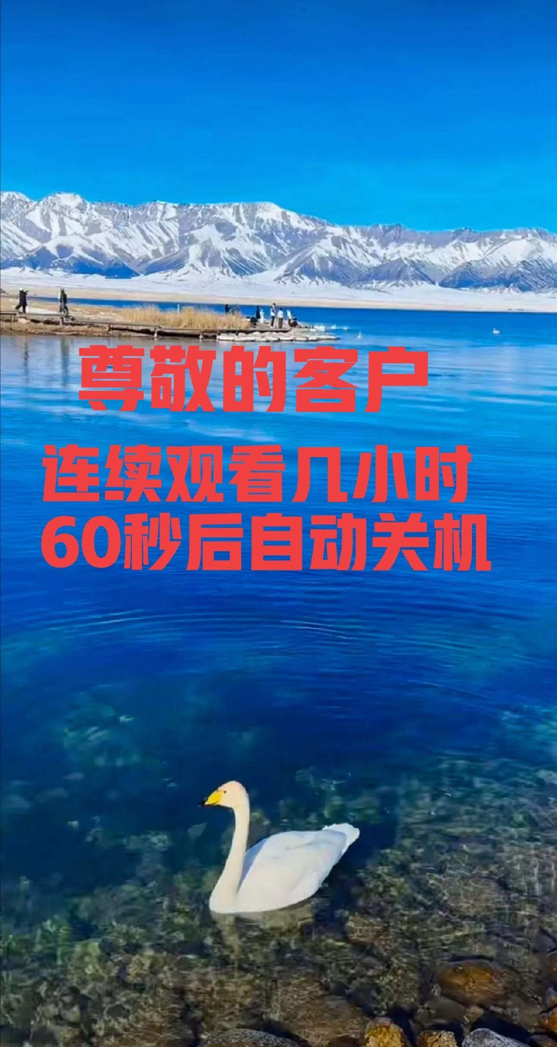 谁懂啊！追央八剧正到高潮，突然电视屏幕上跳出一行字，上面写着：“尊敬的客户