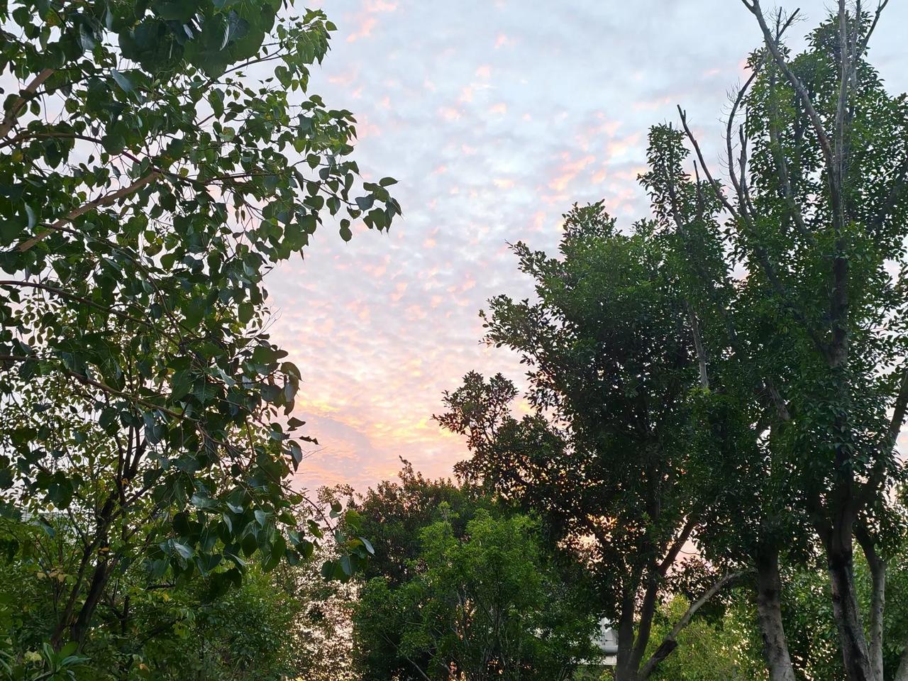 多家银行五年期的产品都下架了[捂脸哭]不是因为他们觉得五年期太长，而是他们实在