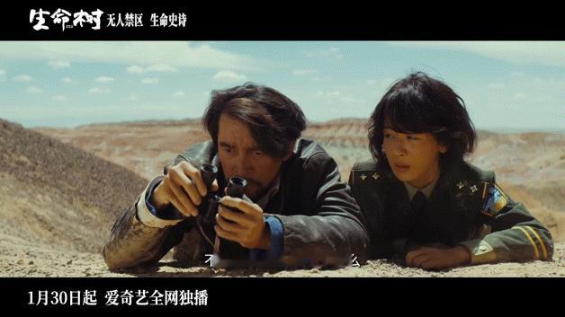 生命树群像内核是钢铁般的意志电视剧生命树杨紫的采访真的越看越期待这部剧，高原拍