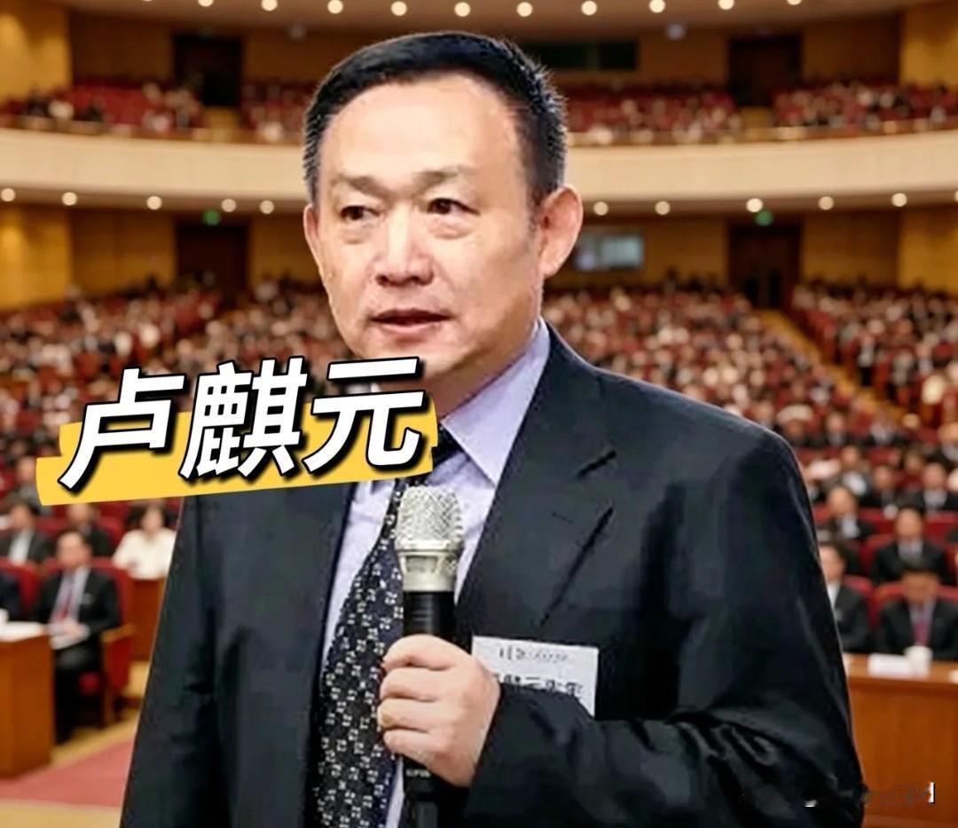 金融圈饭局爆出刺耳言论，卢麒元被圈内人骂“脑子有病”不算精英。新观点很明确