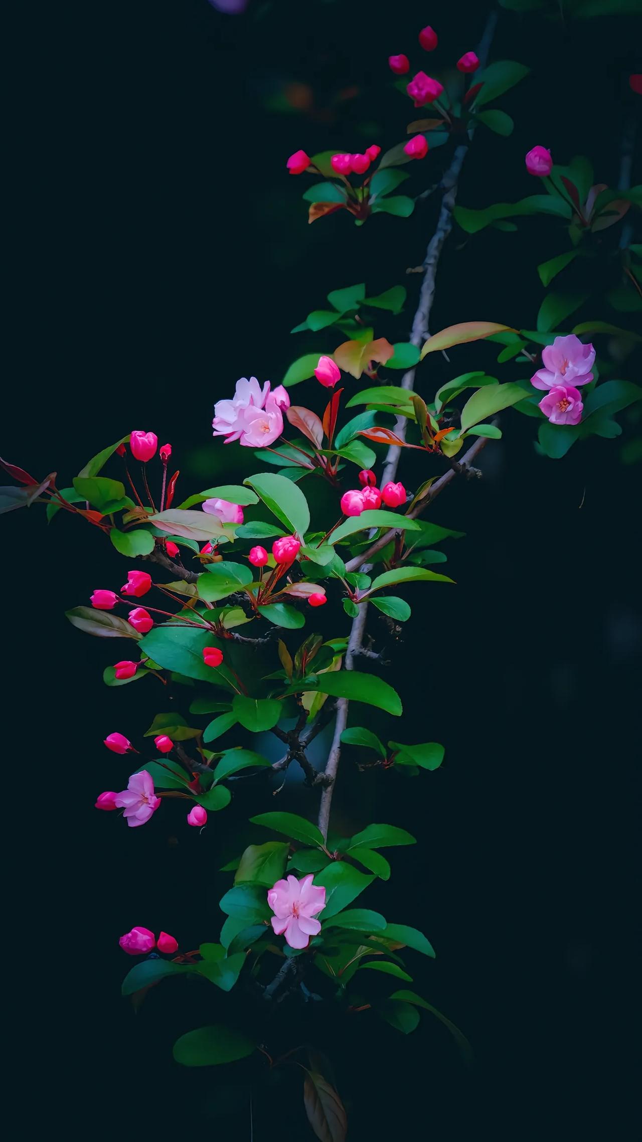 2026年，南京高考人数预计约72000人。普通高中计划新增4000个