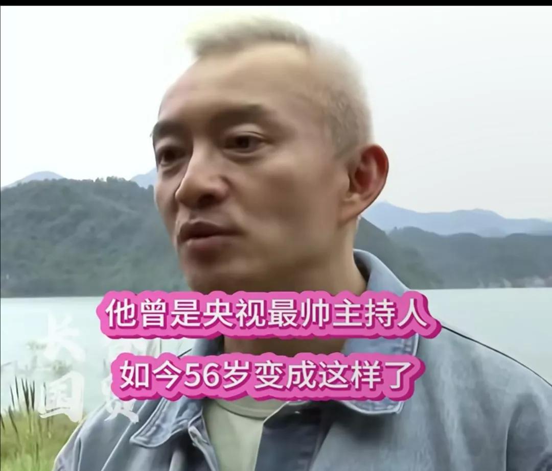 天哪，这是亚宁么？曾被称为“前央视最帅主持人”，神似苏有朋，56岁成这个样子了么