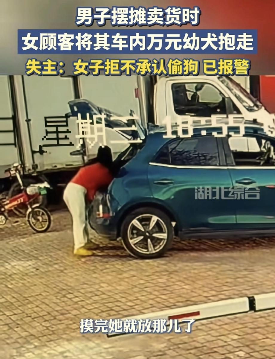 河北，女子进店买海鲜，一边挑货一边盯着老板轿车后备箱里的美卡犬看，等老板忙起来没