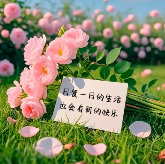 莫言说：“婚姻本是合作，不必非弄成爱情的样子。”爱会淡，人会变。