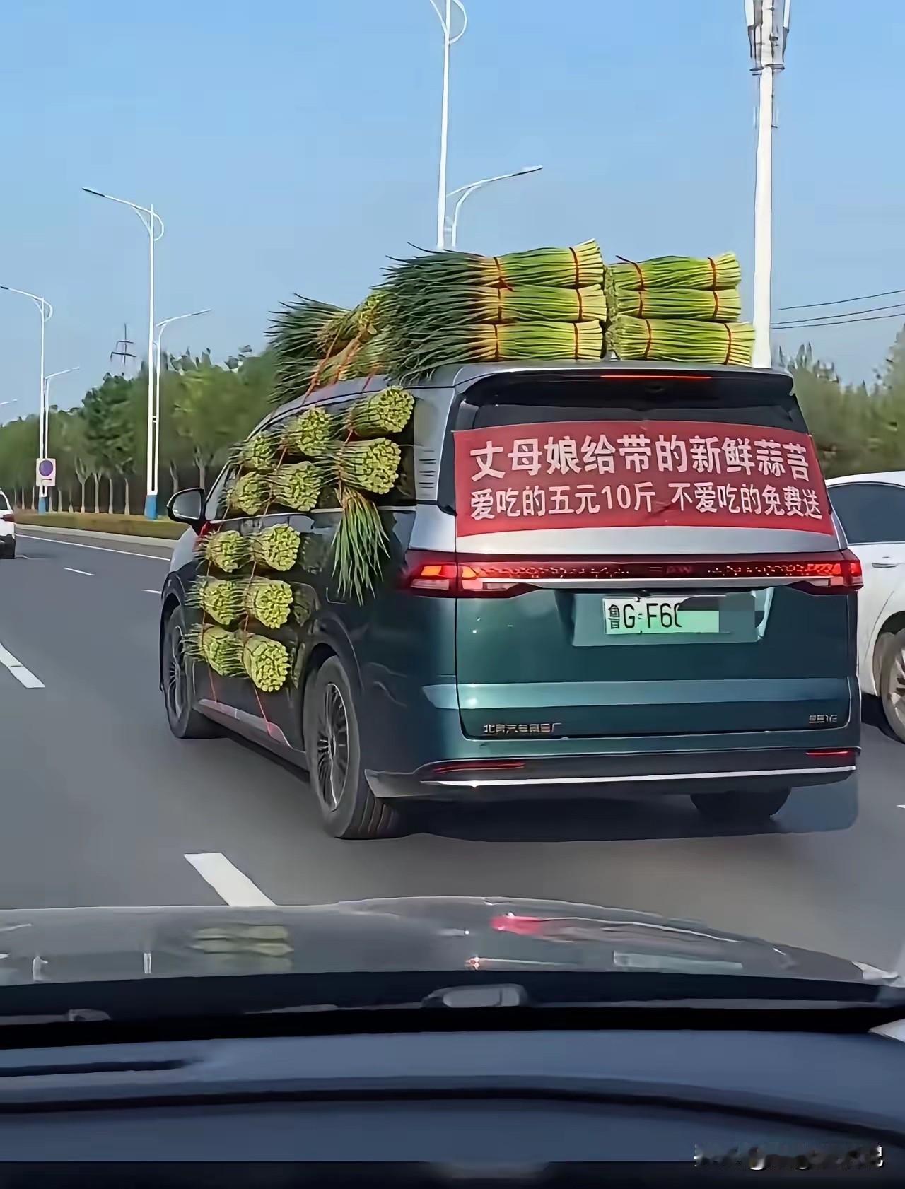 老板是个好人啊
