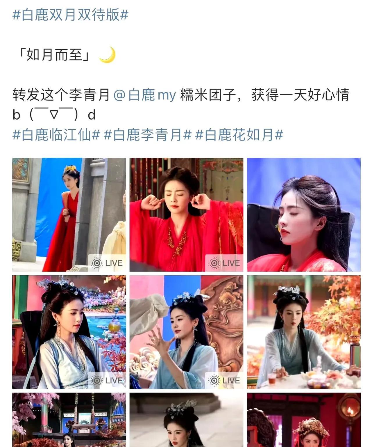 谁懂啊！白鹿在《临江仙》里饰演的李青月简直是「行走的糯米团子」蓬松发髻配软萌纱
