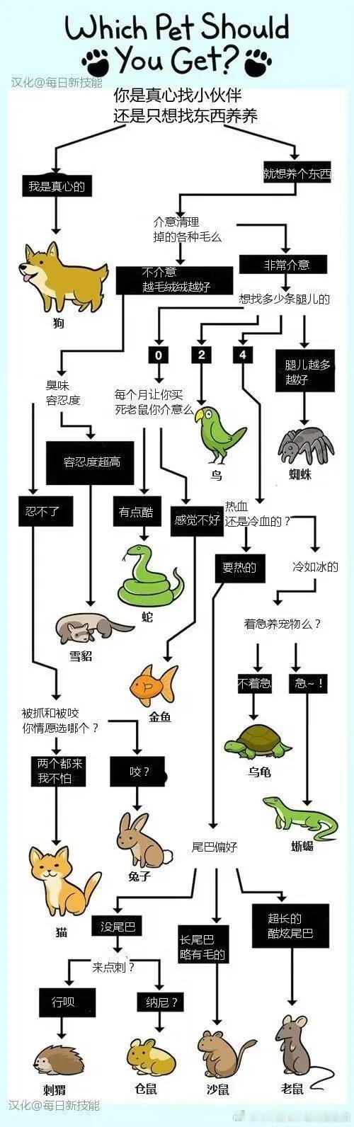 一张图找准你适合养啥宠物