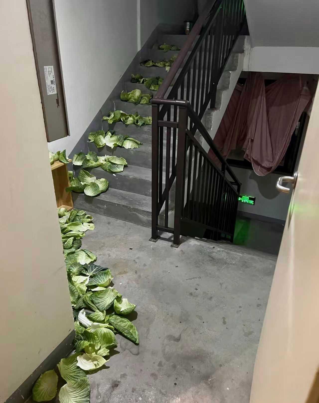 邻居这是在干啥