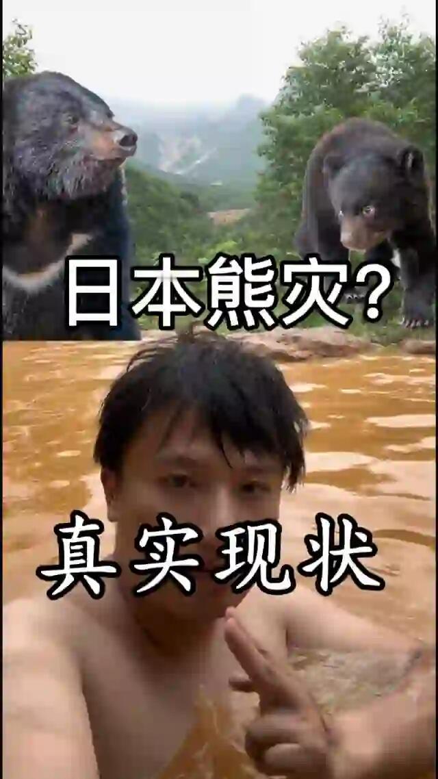 最近好多人都在传日本熊灾的事儿，一开始我也觉得是不是太夸张了？但仔细扒了扒发现，