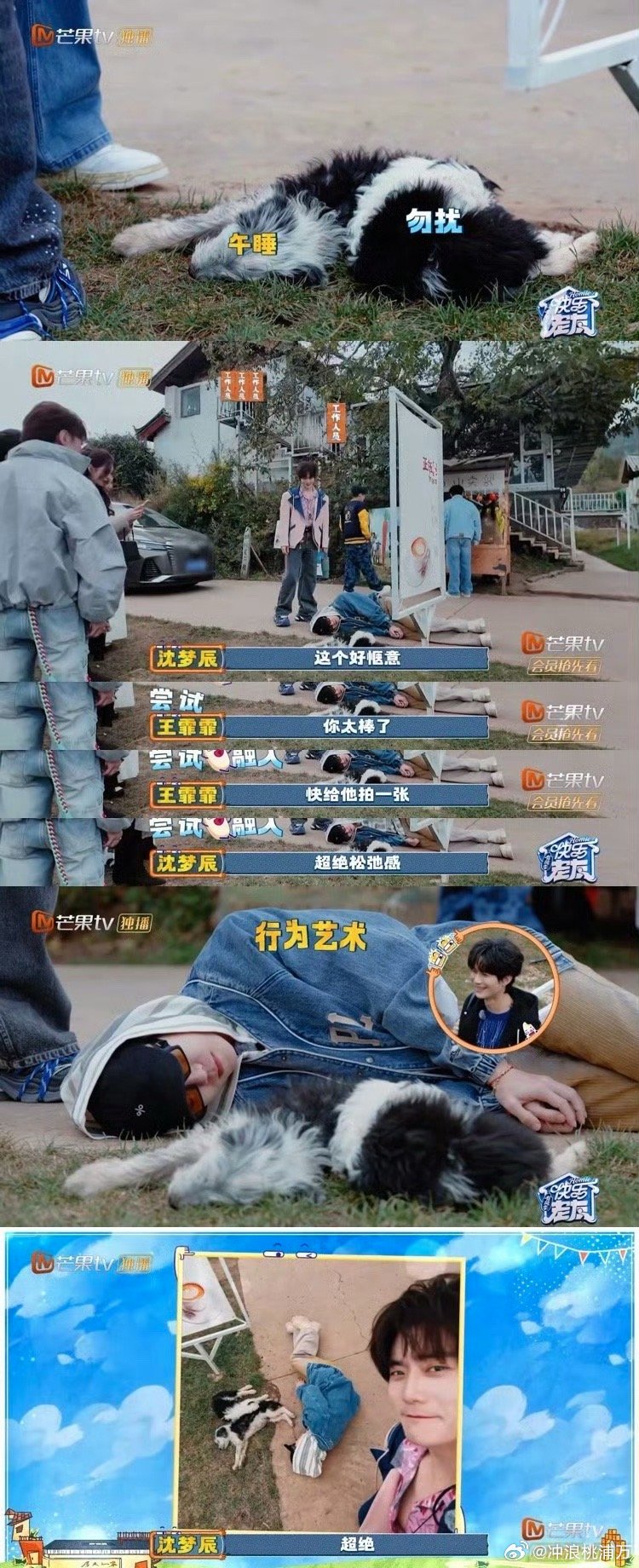 王栎鑫尝试融入小狗好逗！王栎鑫看到小狗惬意躺地休息，立即模仿姿势贴着小狗卧倒，俺