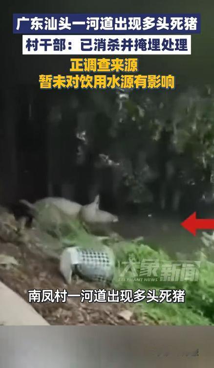 5月9日，广东汕头潮阳区一个村子炸开了锅，村里的河道一夜之间变得面目全非，