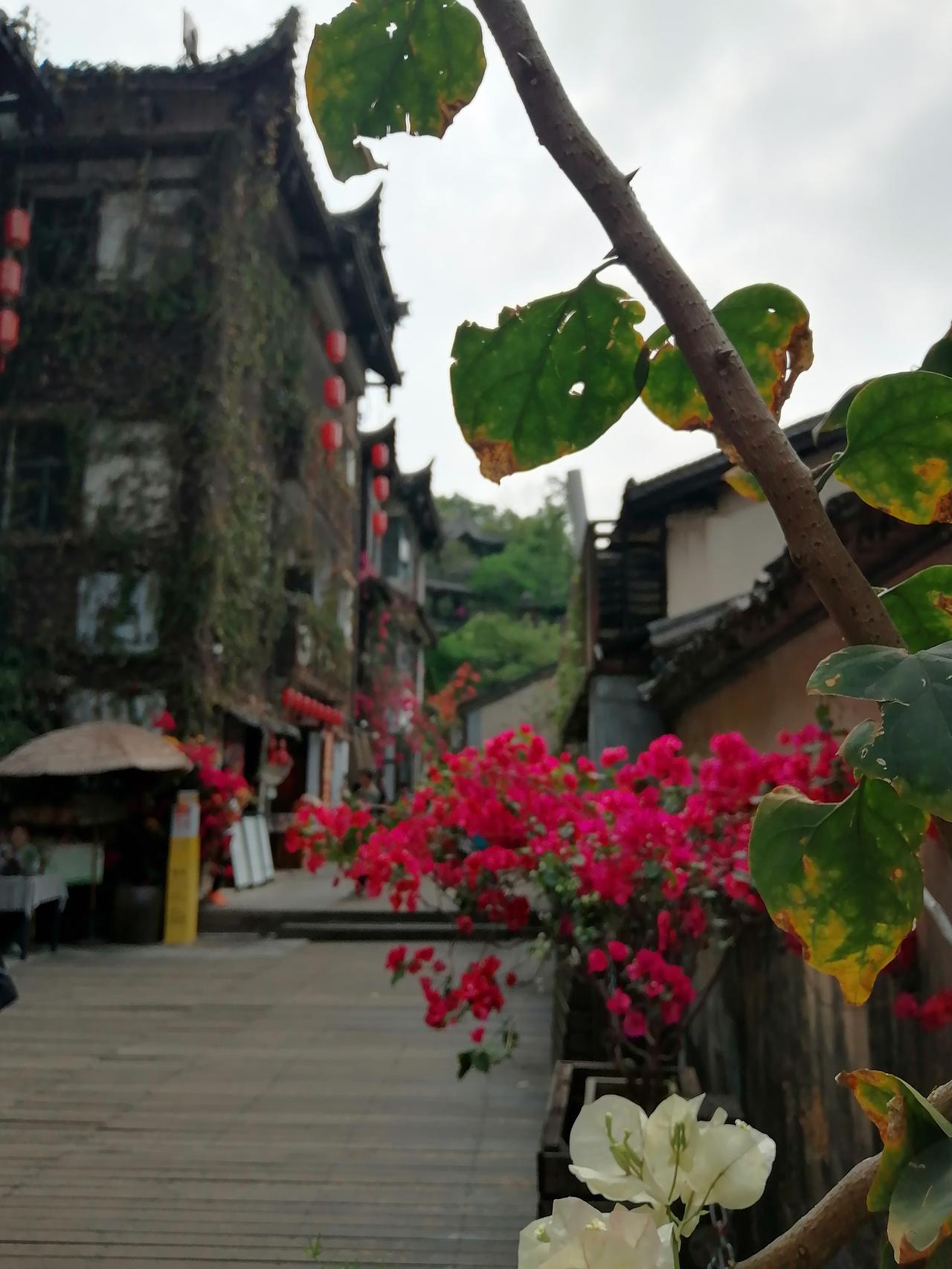 我今年35岁，离异。昨晚洗澡不小心摔倒了，8岁的女儿抱不动我。于是叫来我前夫，可