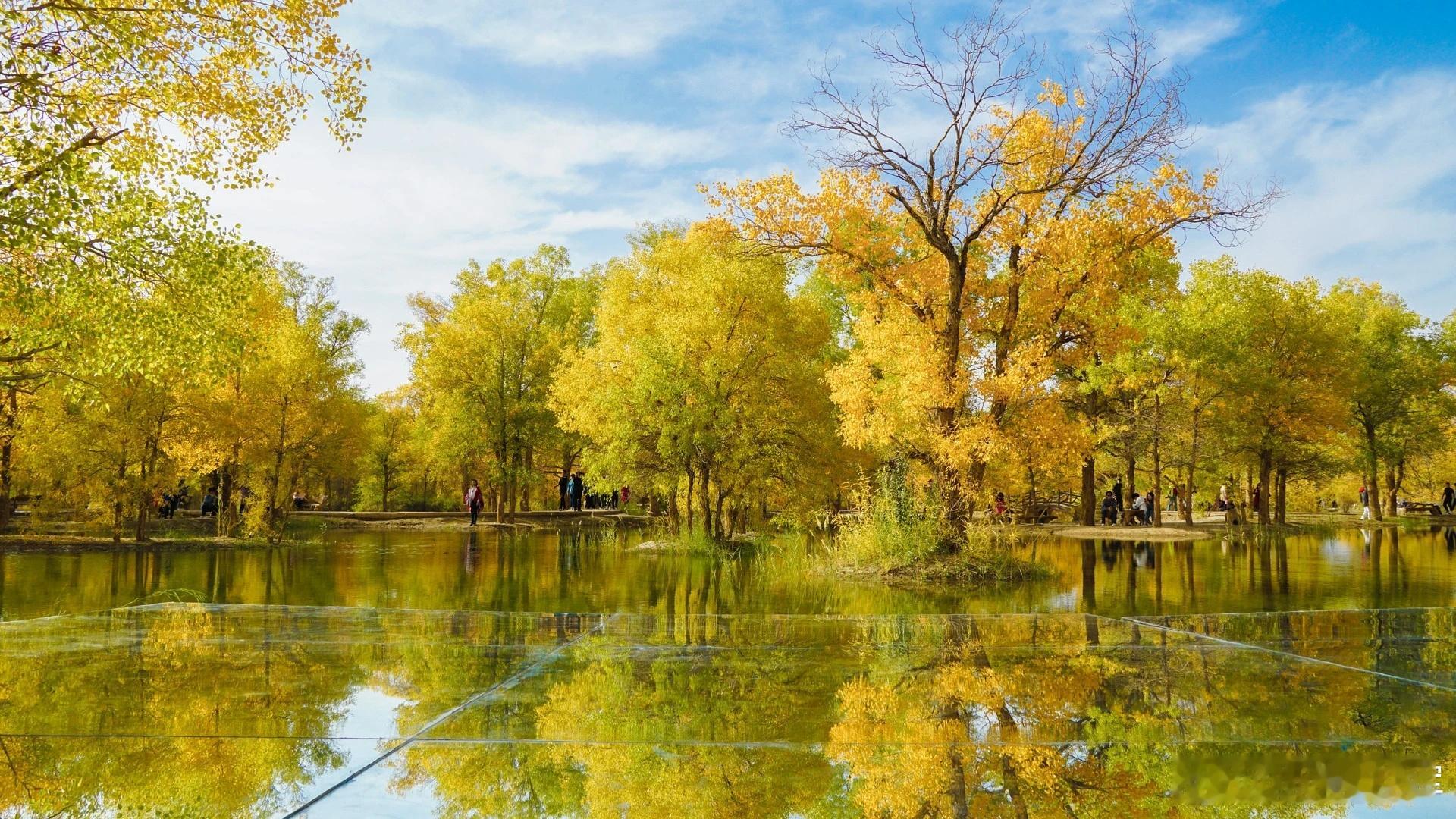 鸡内金善消不善攻川牛膝主引不主补紫苏叶宜散不宜降鸡内金、川牛膝、紫苏叶是3个门类