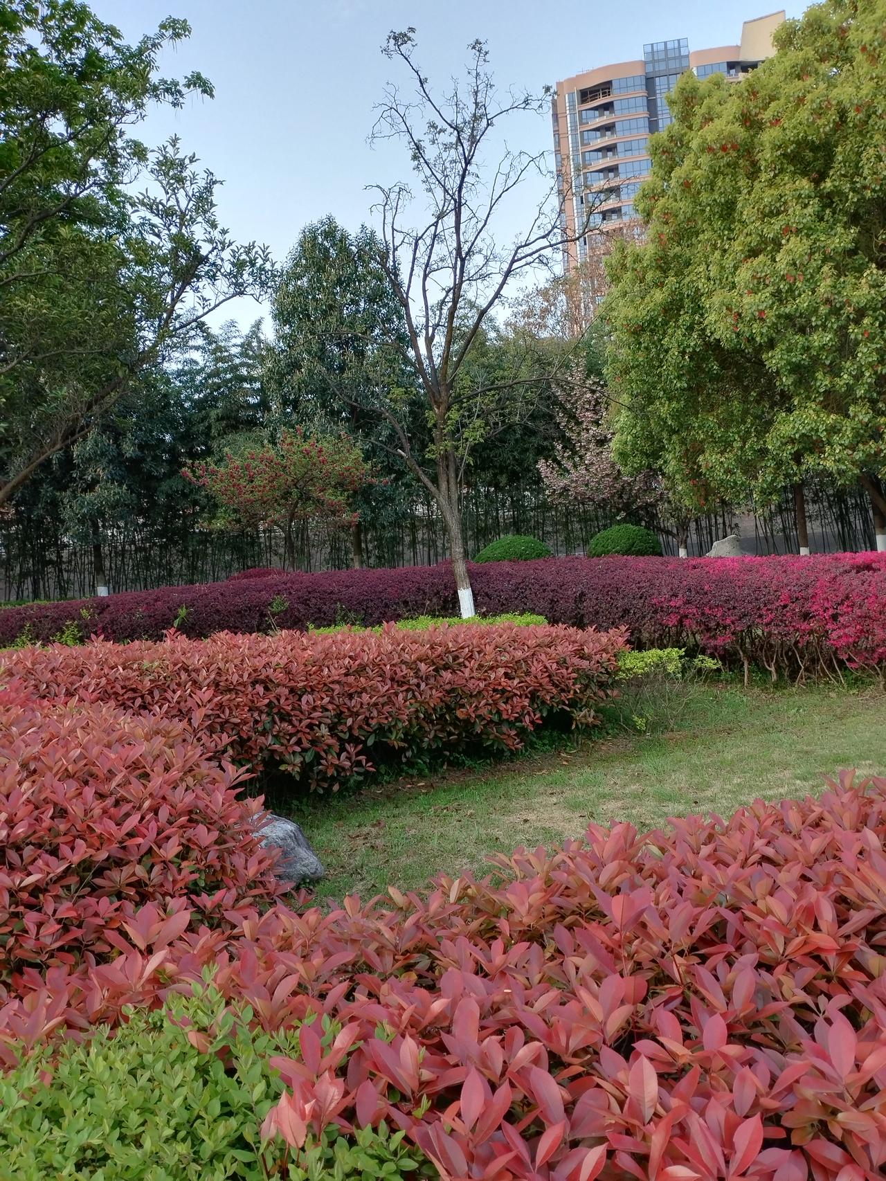 春日生活打卡季来啦！🌸🌼不妨试试这些春日小活动：去公园赏花，感受春天