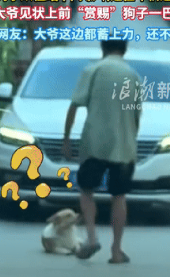 “笑不活了！”贵州一小狗，悠然自得的卧在马路中间，导致来往车辆堵塞，一位霸气侧漏