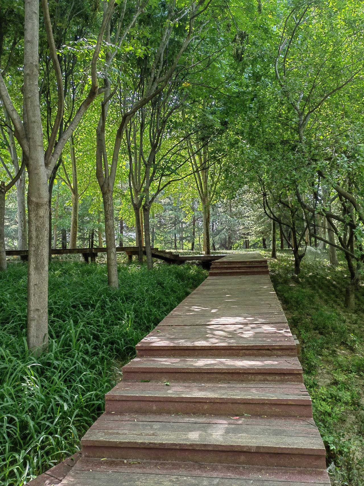李自成在打进北京城前，好几次全军覆没，最惨的一次是仅剩十八骑。细细的掰开分析：
