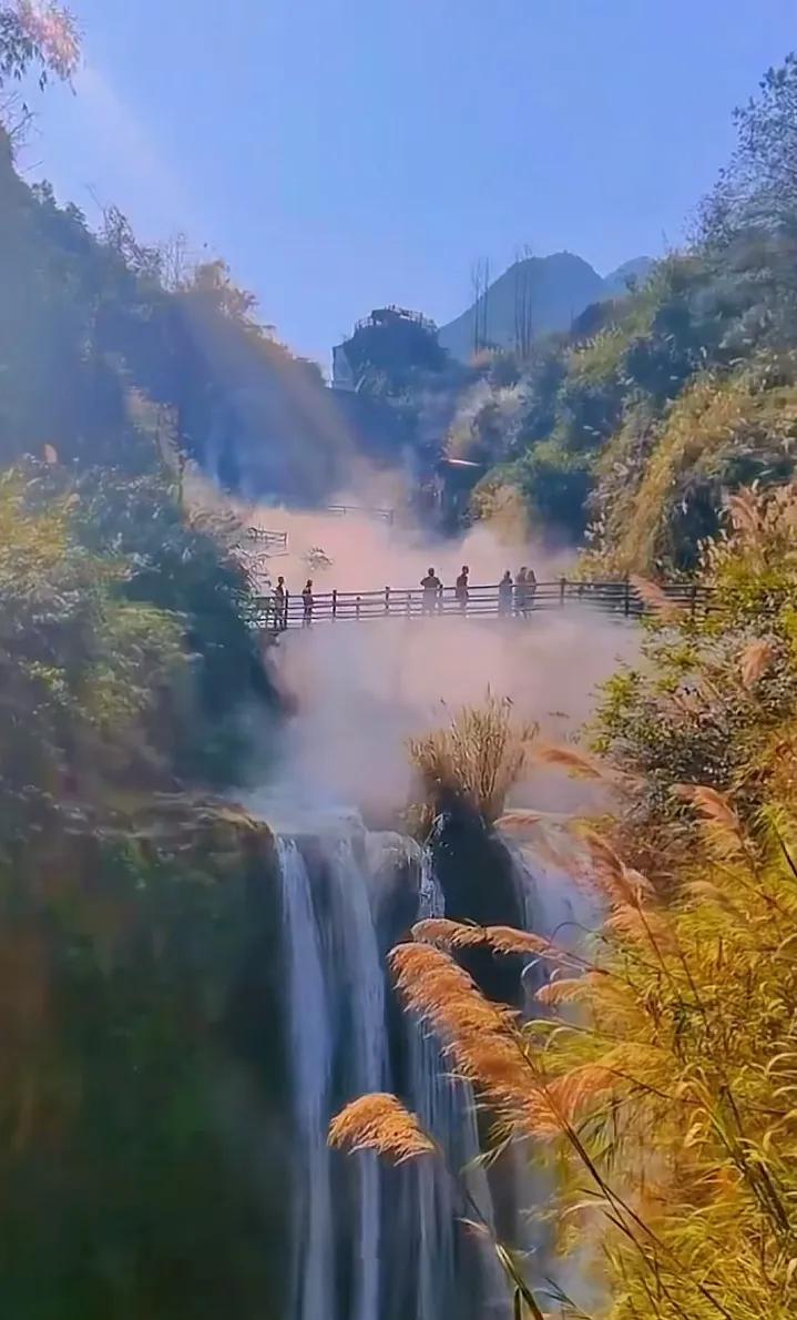 哇哦～这地方太迷人了！就像走进了某个神仙住的森林，那水帘瀑布美得就像是天上掉下来