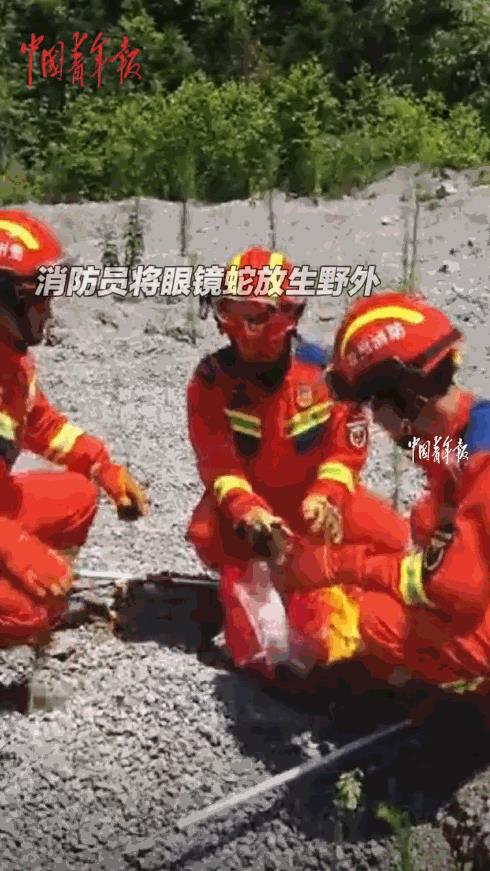 “太吓人了！”7月30日，贵州普安，男子听到屋内传来窸窸窣窣的声音，就扒开杂物寻