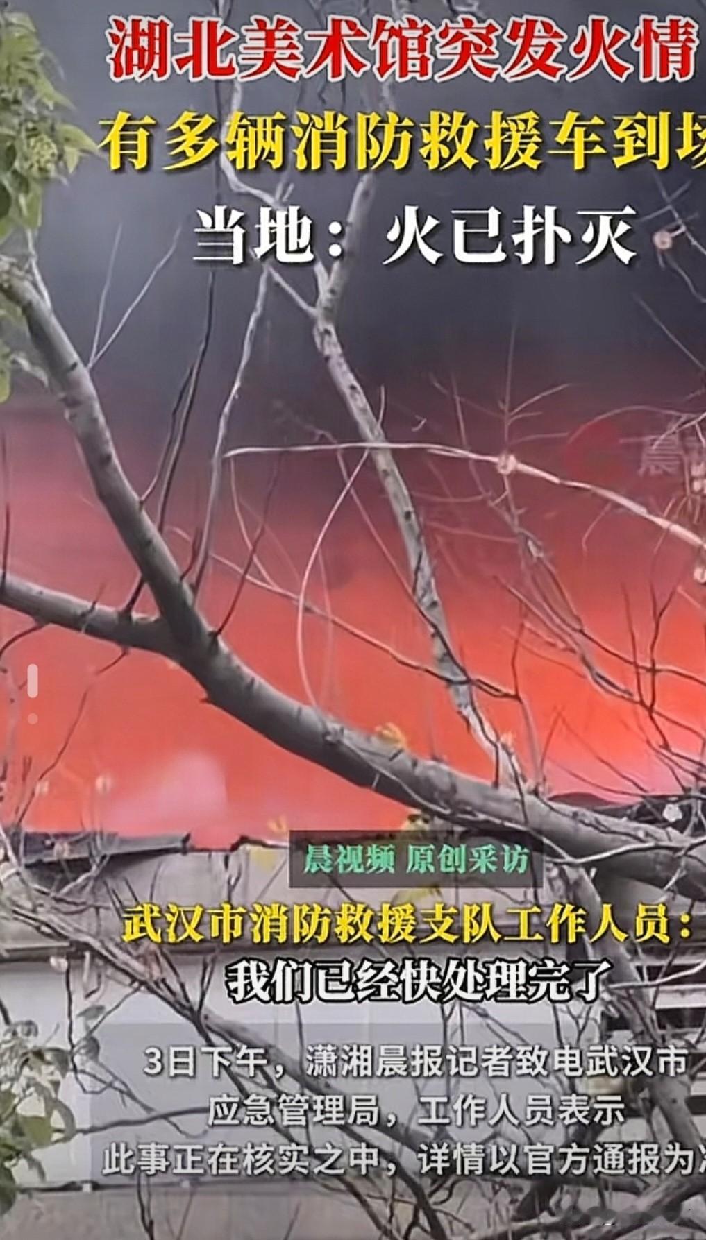 彻底赌输了！南博事件一出，和同事赌1杯星巴克，结果我输得心甘情愿，心里却堵得慌！