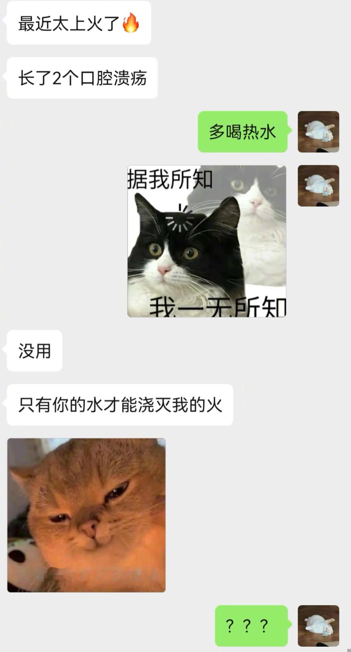 和天蝎老公的日常